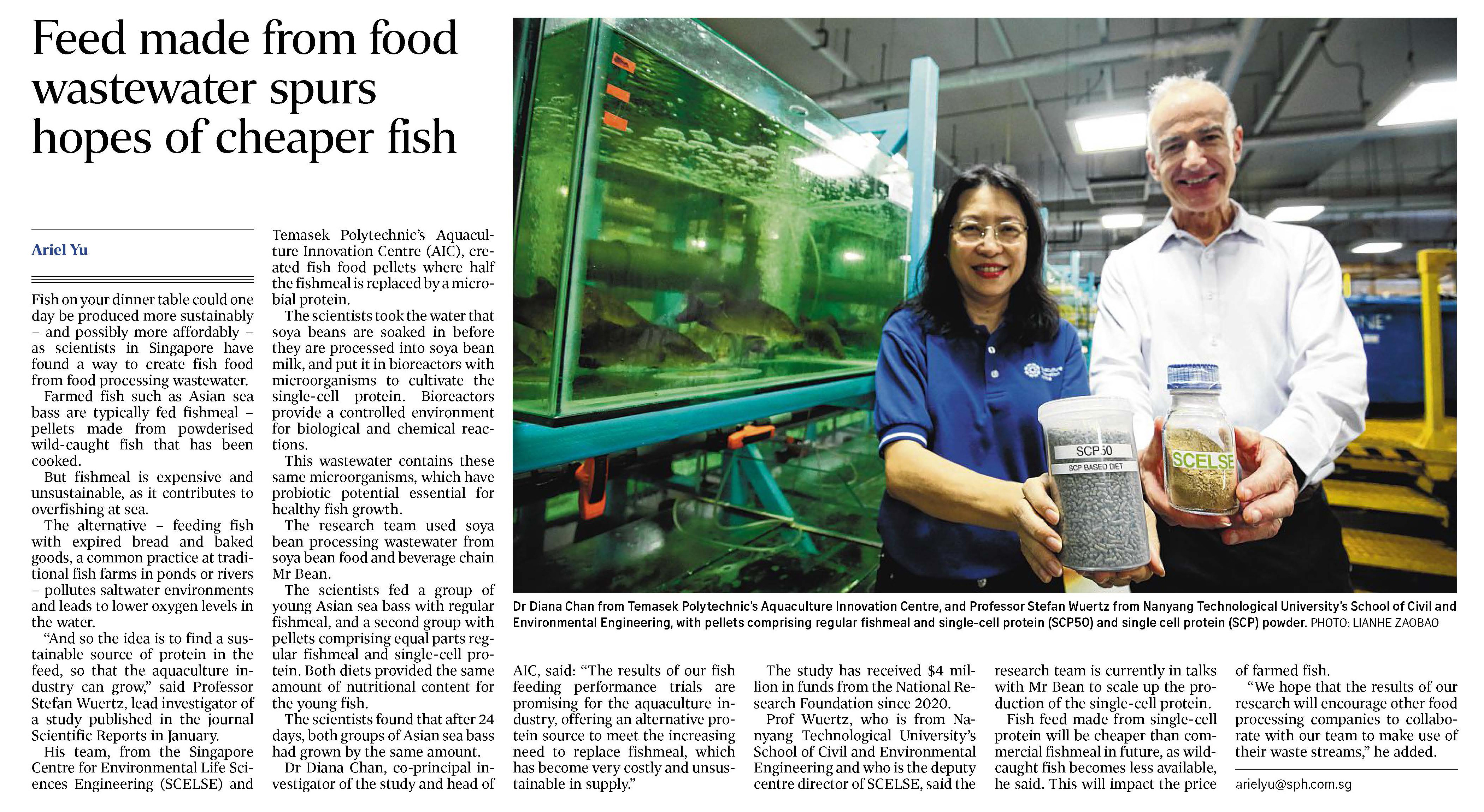 Feed made from food wastewater spurs hopes of cheaper fish 