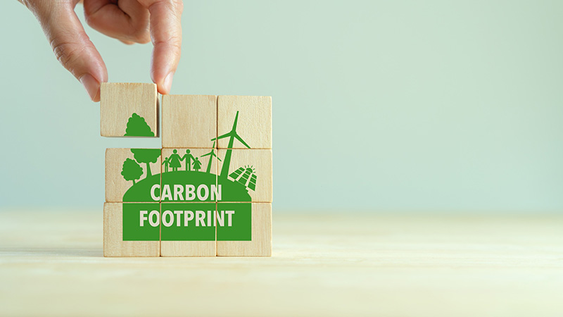 Standards Adoption in Manufacturing Sustainability and Carbon Footprint Measurement