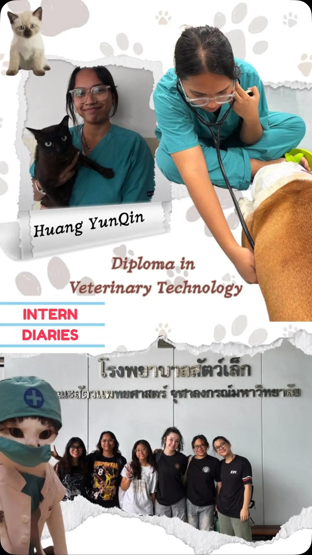 An image illustrating a Temasek Polytechnic student’s internship experience during their “Diploma in Veterinary Technology” course.