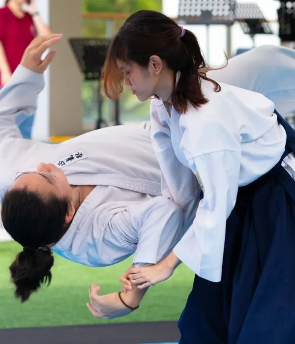 aikido2