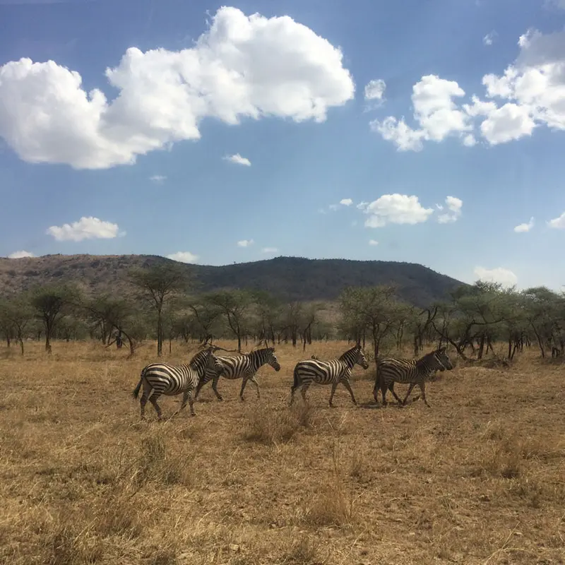 tanzania-3