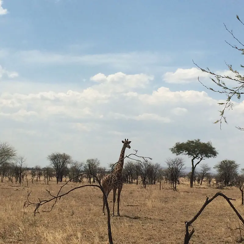 tanzania-6