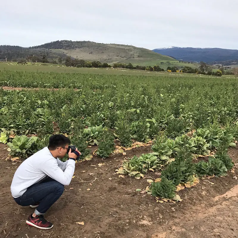 tasmania-3