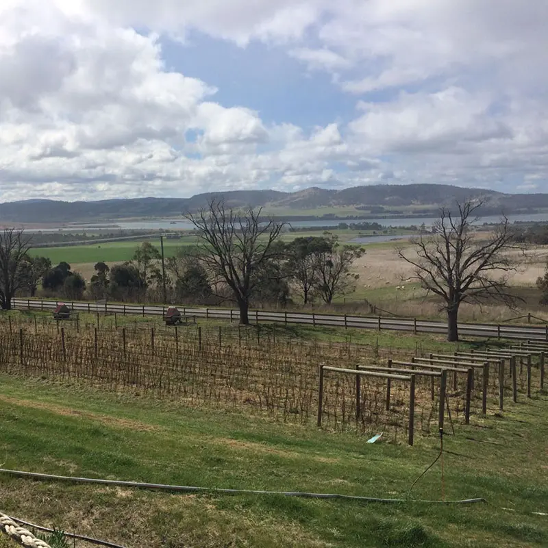 tasmania-4