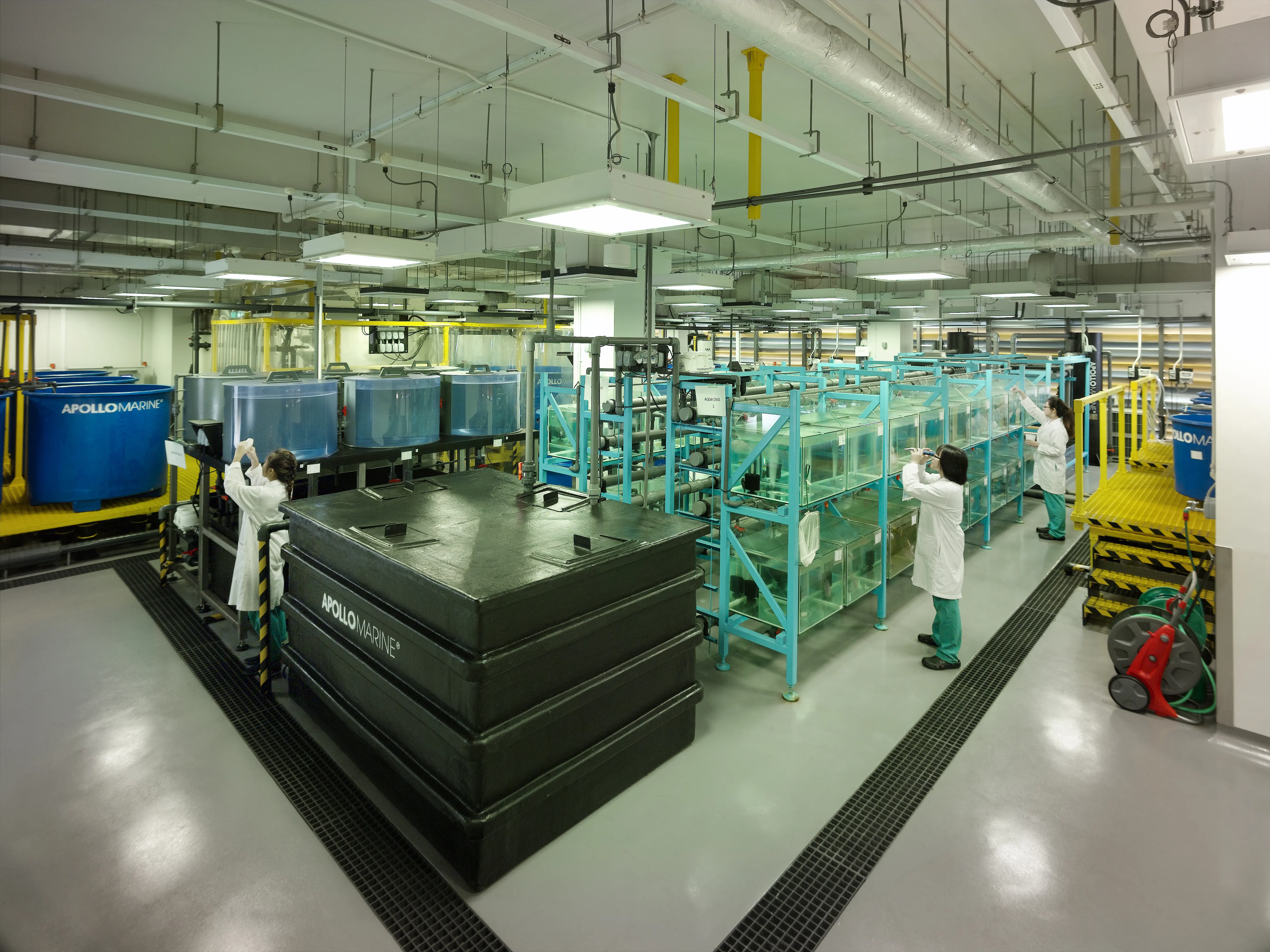 Apollo_Temasek Polytechic_Img 2