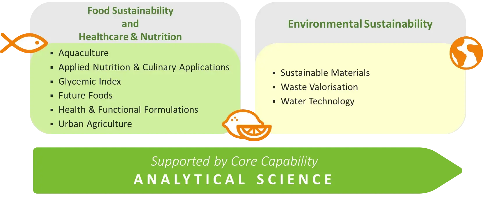 Growth Area Diagram