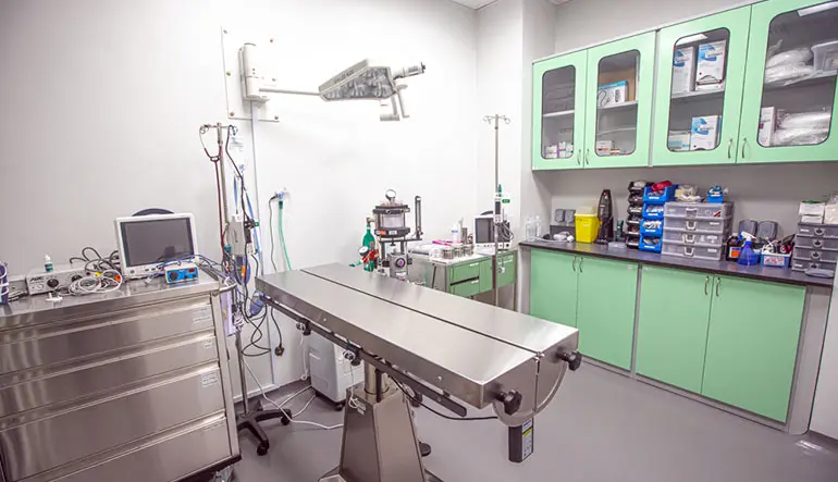 COE_CentresASC_CAVS TPACW_surgery room