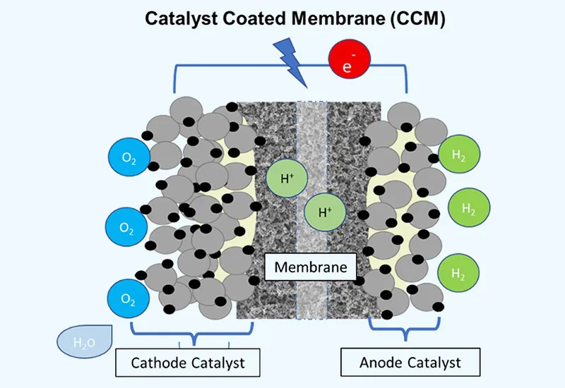 CCM-CERC-NEW