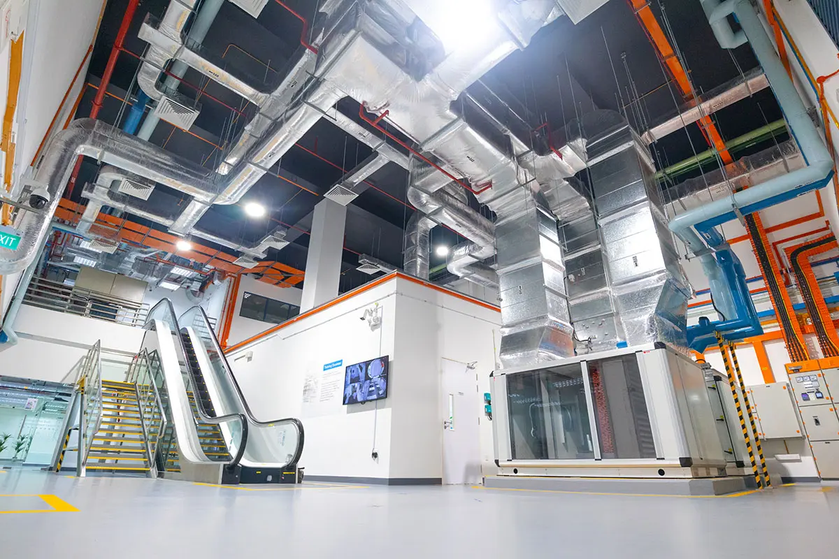 ibec-new-5