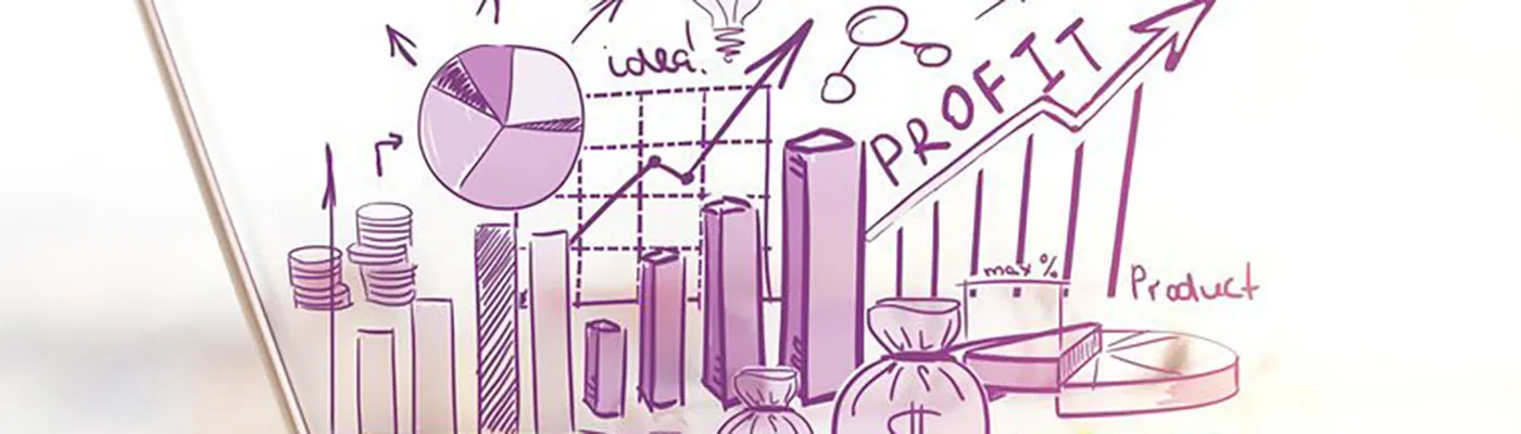 Finance+for+Non-Finance+Managers