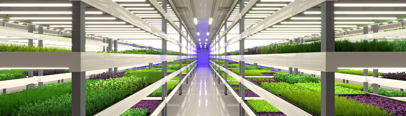 mlc-sustainable-urban-farming-technology-and-innovation_1400