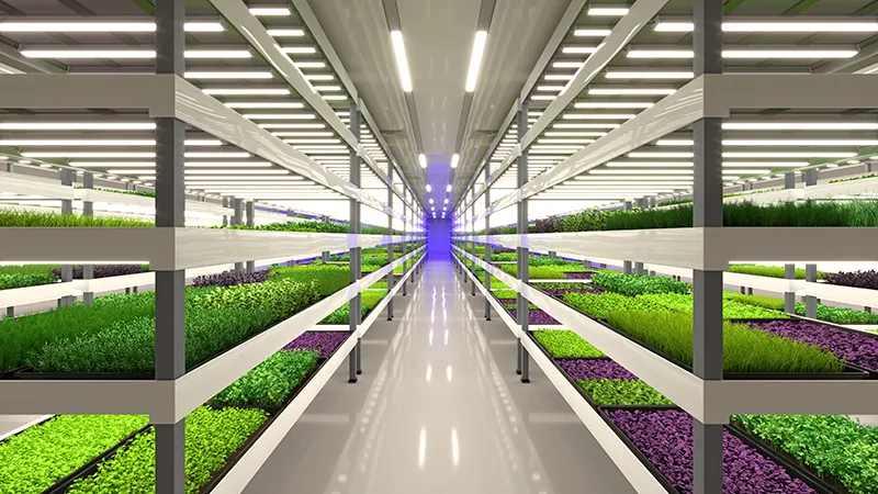 Sustainable Urban Farming Technology and Innovation