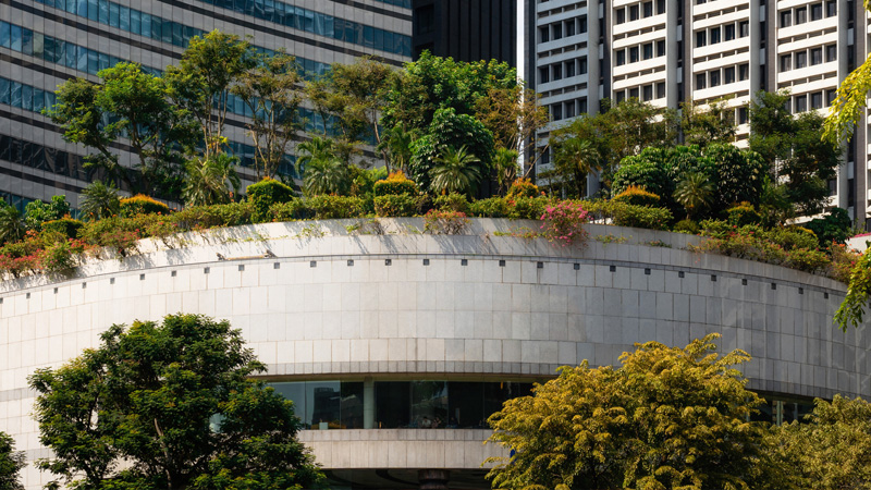 Design for Safety on Rooftop Greenery