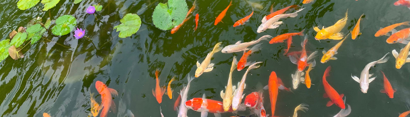 aquaculture-as-a-career_1400