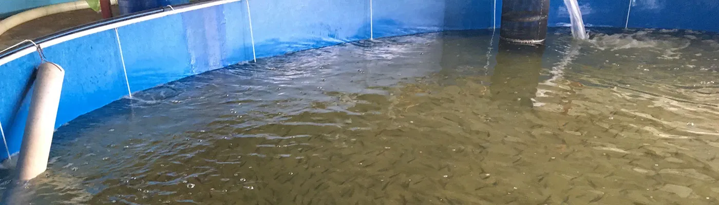 aquaculture-essentials_1400