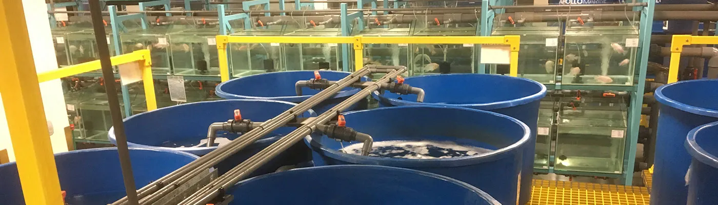 aquaculture-practitioner_1400