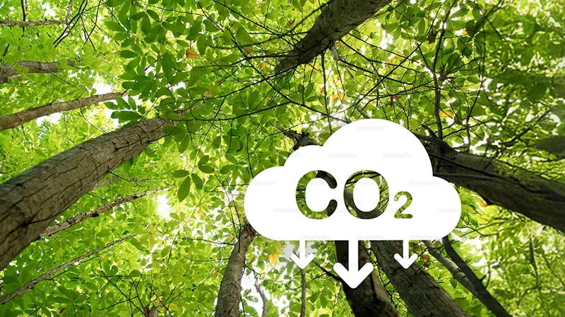 SCPD10 Sustainable Supply Chain
