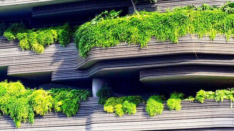 Specialist Diploma in Sustainable Built Environment