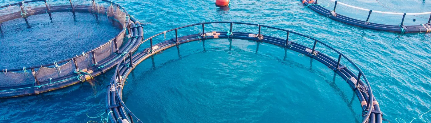 sc-certificate-for-qualified-persons-in-aquaculture-farm-biosecurity-and-monitoring_1400