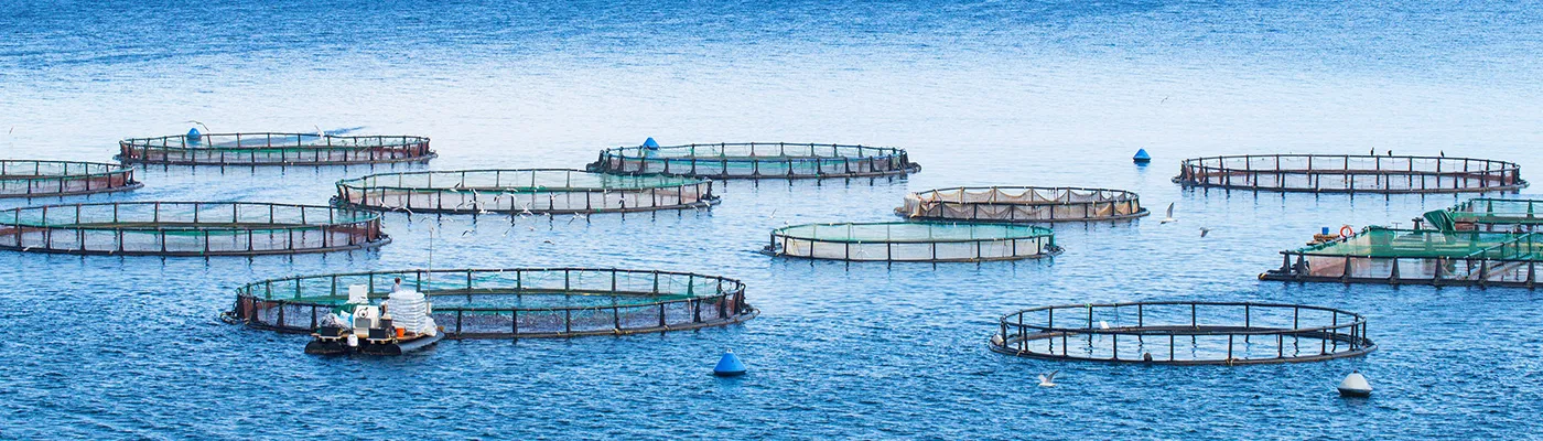 sc-specification-for-clean-and-green-urban-farms-aquaculture_1400