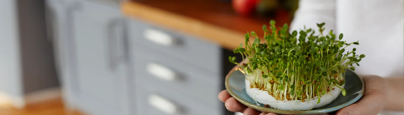 sc-sprout-to-plate-sustainable-growing-and-cooking-with-microgreens_1400