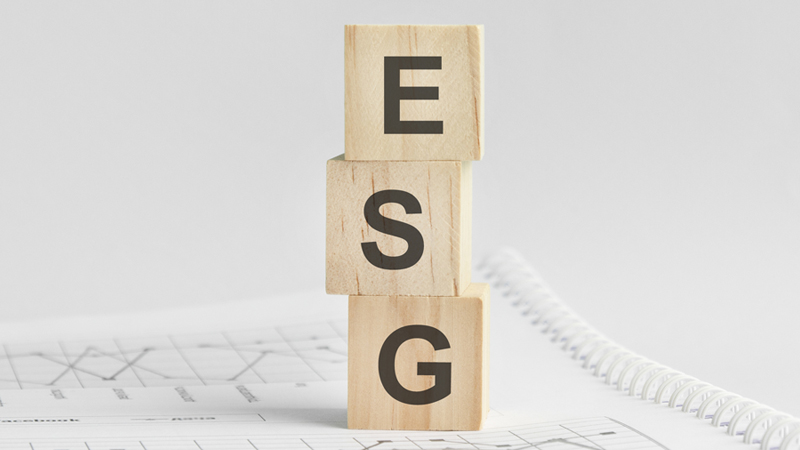 Environmental, Social and Governance (ESG) Reporting