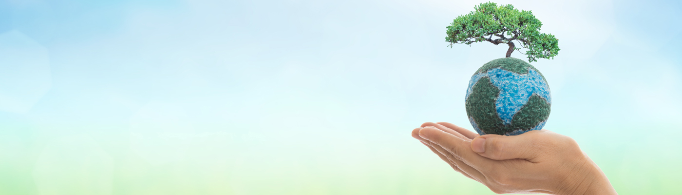 sfs-foundations-of-sustainability-opportunities-and-risks_1400