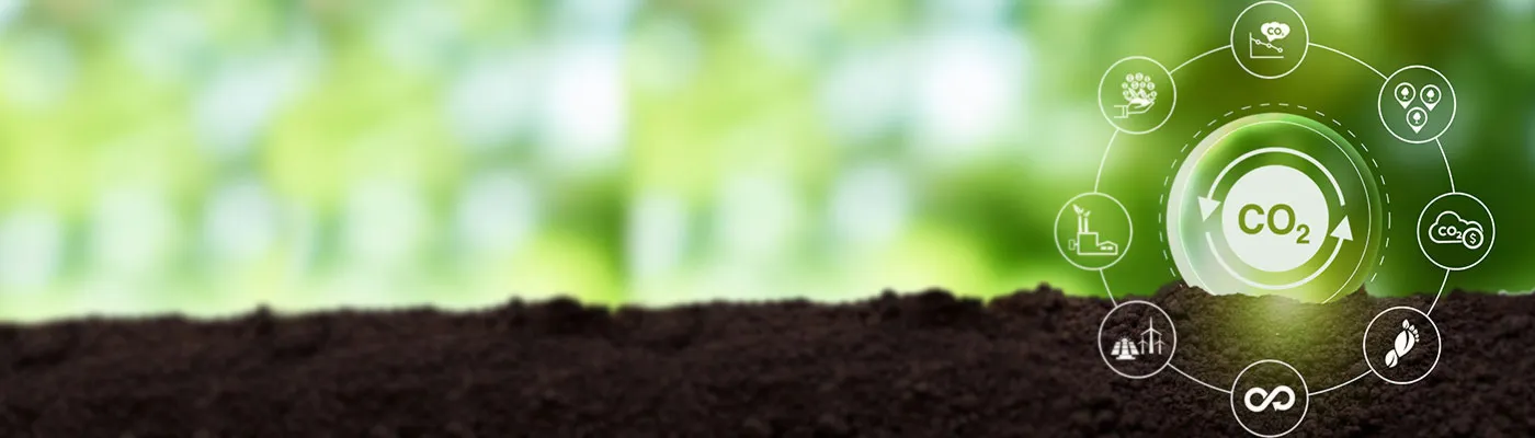 sfs-life-cycle-analysis-for-evaluating-carbon-footprint-in-businesses_1400