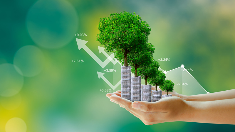 Sustainable Finance