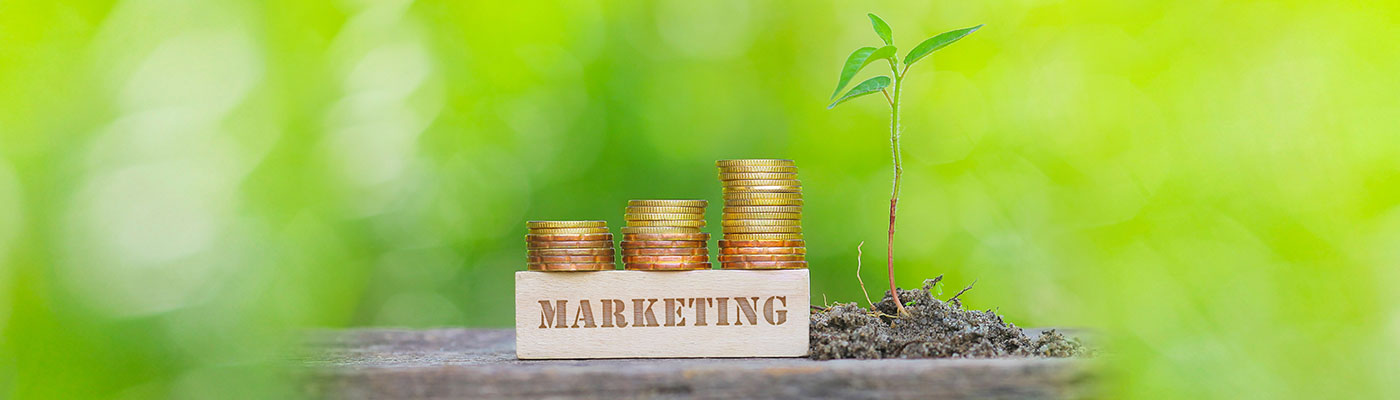 sfs-sustainable-marketing_1400