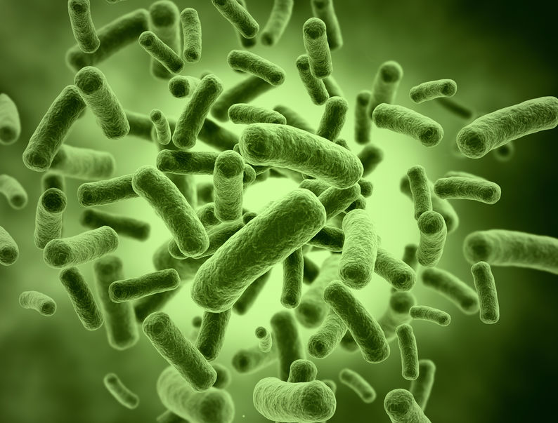 Bacteria cells - medical illustration