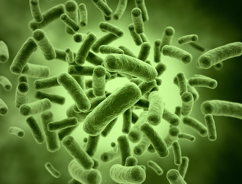 Bacteria cells Bacteria cells - medical illustration