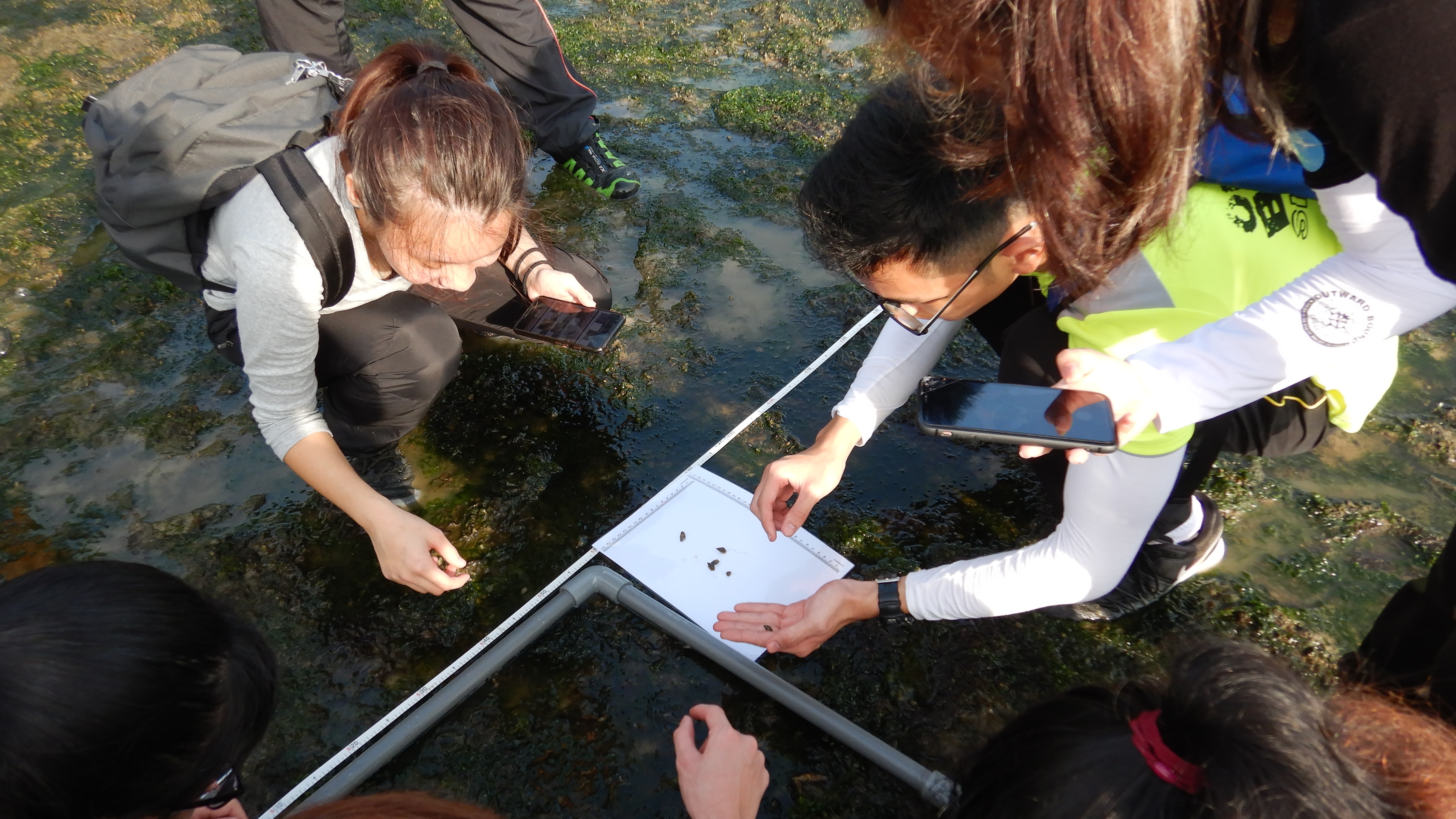 Intertidal Watch Programme with National Parks Board