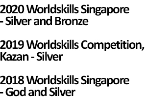 WorldSkills Awards