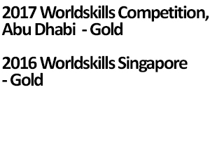 WorldSkills Awards