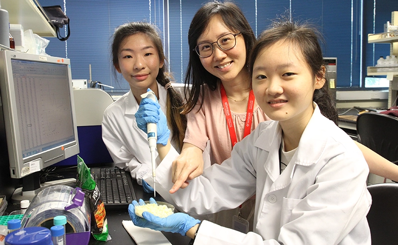 Engineering Innovation Challenge