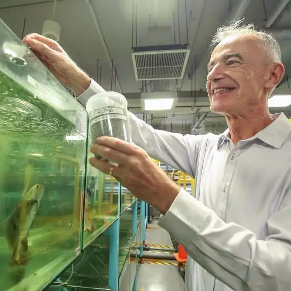 TP, wastewater, fish