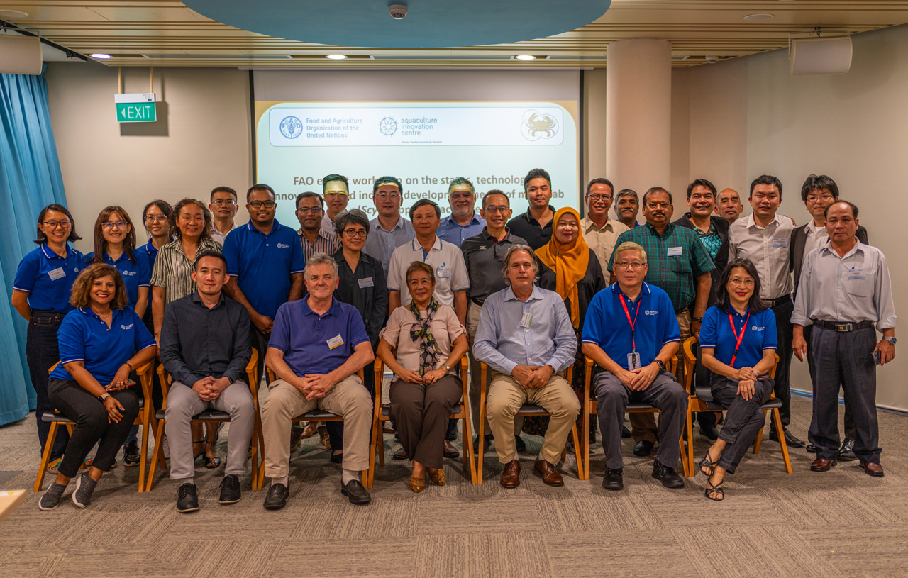 Food & Agriculture Organization of United Nations (FAO) Mud Crab Expert Workshop