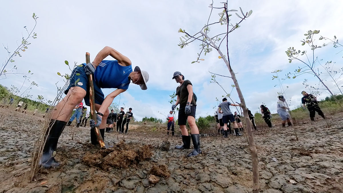 Mangrove Tree Planting at Ho Chi Minh City by IIT school