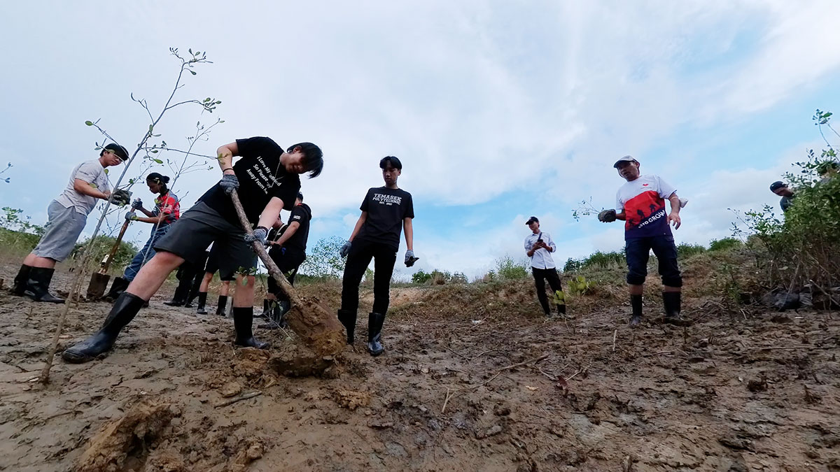 Mangrove Tree Planting at Ho Chi Minh City by IIT school