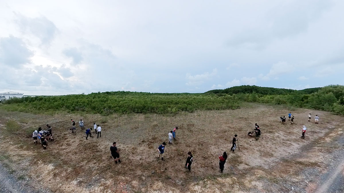 Mangrove Tree Planting at Ho Chi Minh City by IIT school