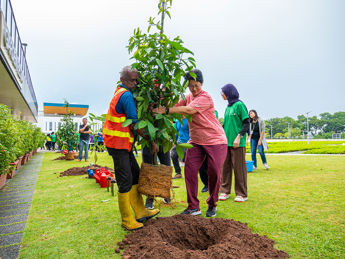 TGIG Tree Planting