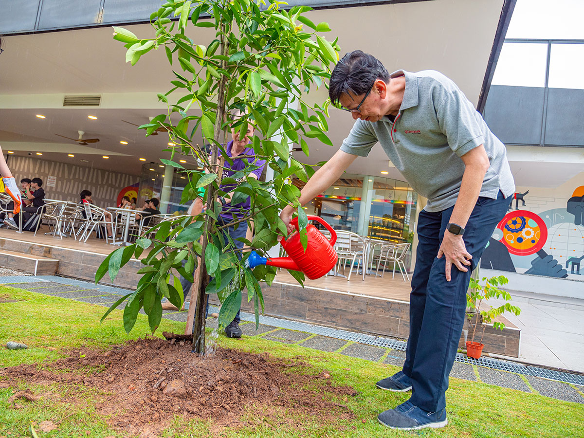 TGIG Tree Planting