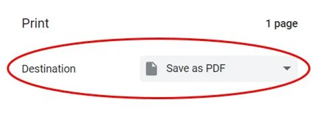 Select 'Save as PDF' under 'Destination'.