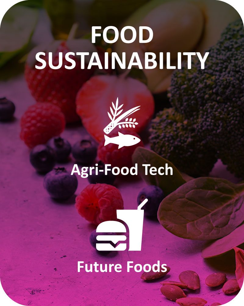 food sustainability